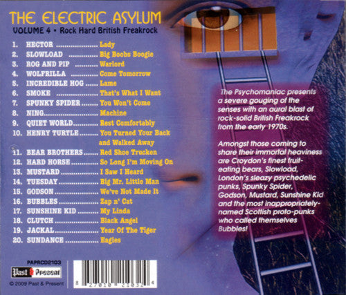USED CD - Various – The Electric Asylum Volume 4 (Rock Hard British Freakrock)