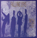 USED CD - Falling Joys – Wish List