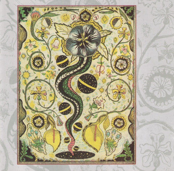 USED CD - Steve Earle – I Feel Alright