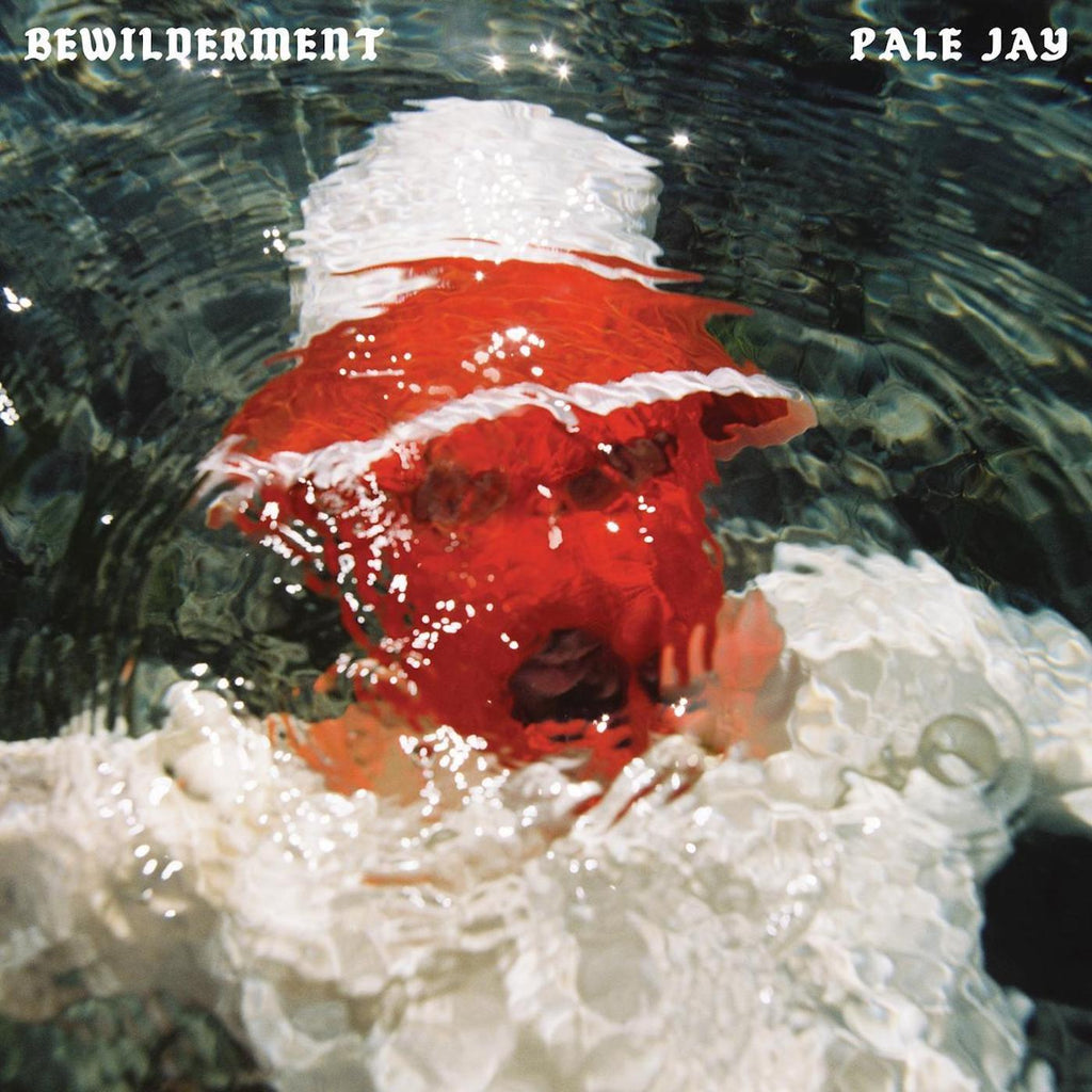 Pale Jay - Bewilderment (SEAFOAM GREEN VINYL) | Mint (M) Mint (M)