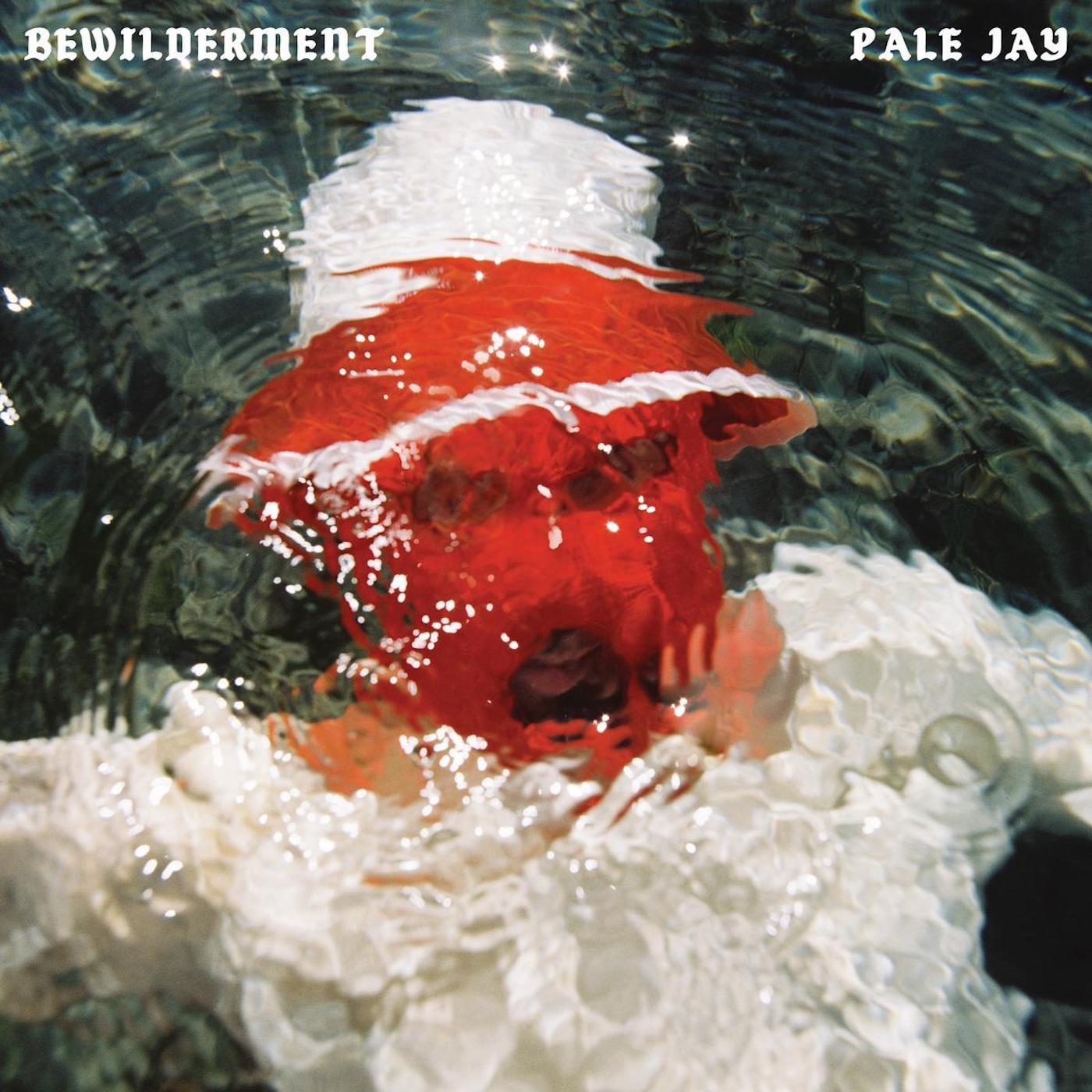 Pale Jay - Bewilderment (SEAFOAM GREEN VINYL) | Mint (M) Mint (M)