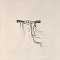 USED CD - José González – In Our Nature