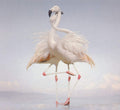 Rustie – Green Language - USED CD