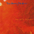 USED CD - Peter Hammill / The Noise – There Goes The Daylight