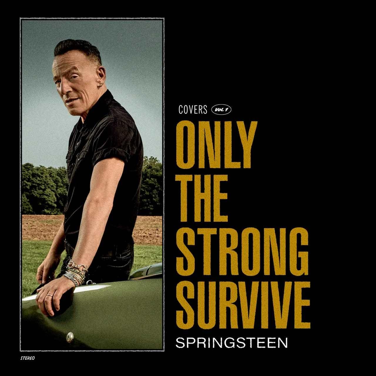 BRUCE SPRINGSTEEN - Only The Strong Survive Vinyl