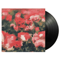 RIVAL SCHOOLS - Pedals Vinyl
