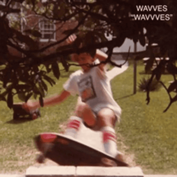 WAVVES - Wavvves Vinyl