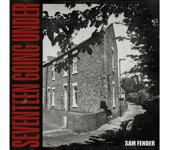 SAM FENDER - Seventeen Going Under Vinyl