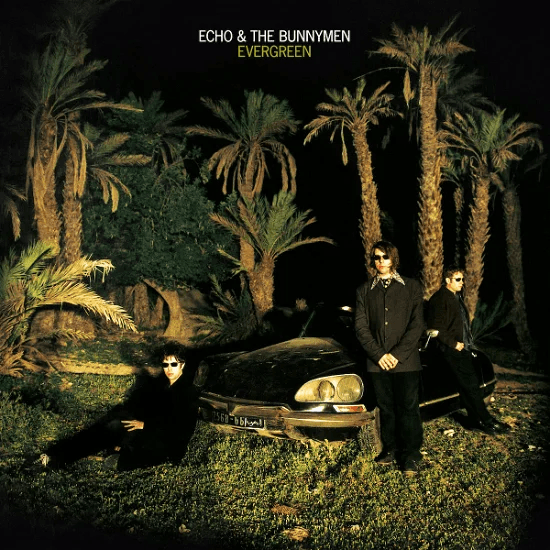 ECHO & THE BUNYMEN - Evergreen Vinyl