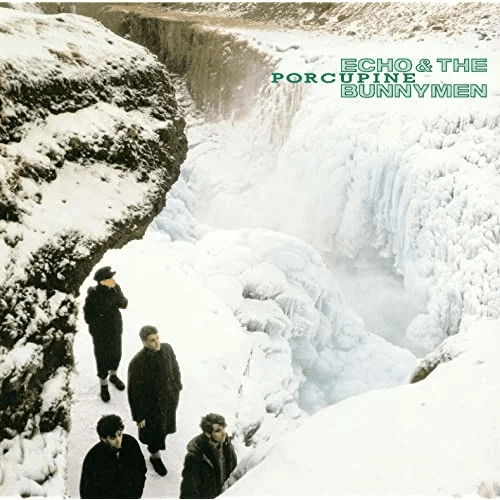 ECHO & THE BUNNYMEN - Porcupine Vinyl