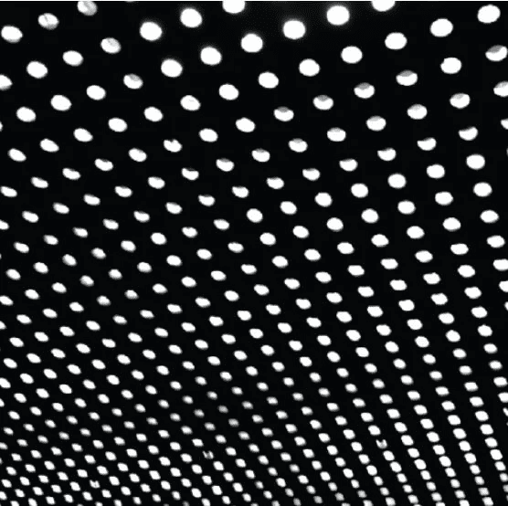 BEACH HOUSE - Bloom Vinyl