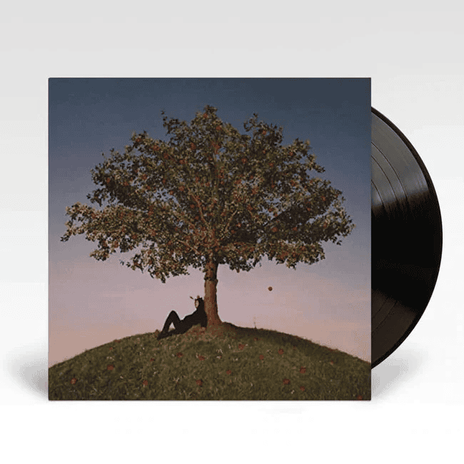 SLOWTHAI - Tyron Vinyl