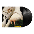 AEROSMITH - Get a Grip Vinyl