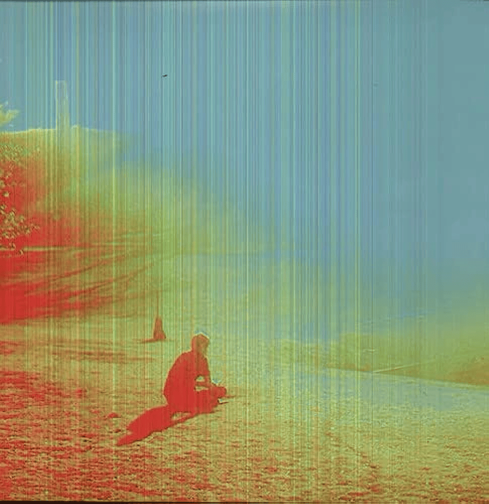 THE FLAMING LIPS - The Terror Vinyl