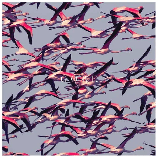 DEFTONES - Gore Vinyl