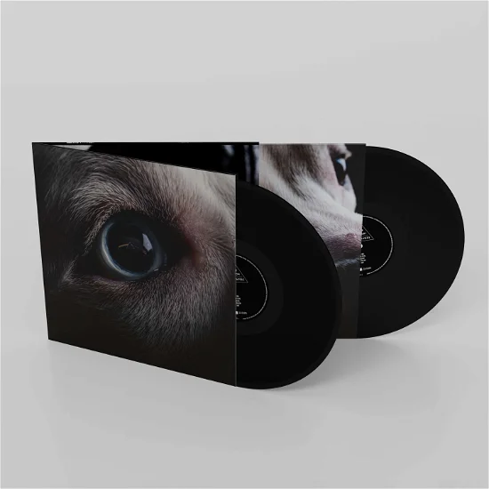 ROGER WATERS - The Dark Side of The Moon Redux Vinyl