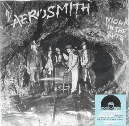 AEROSMITH - Night In The Ruts Vinyl