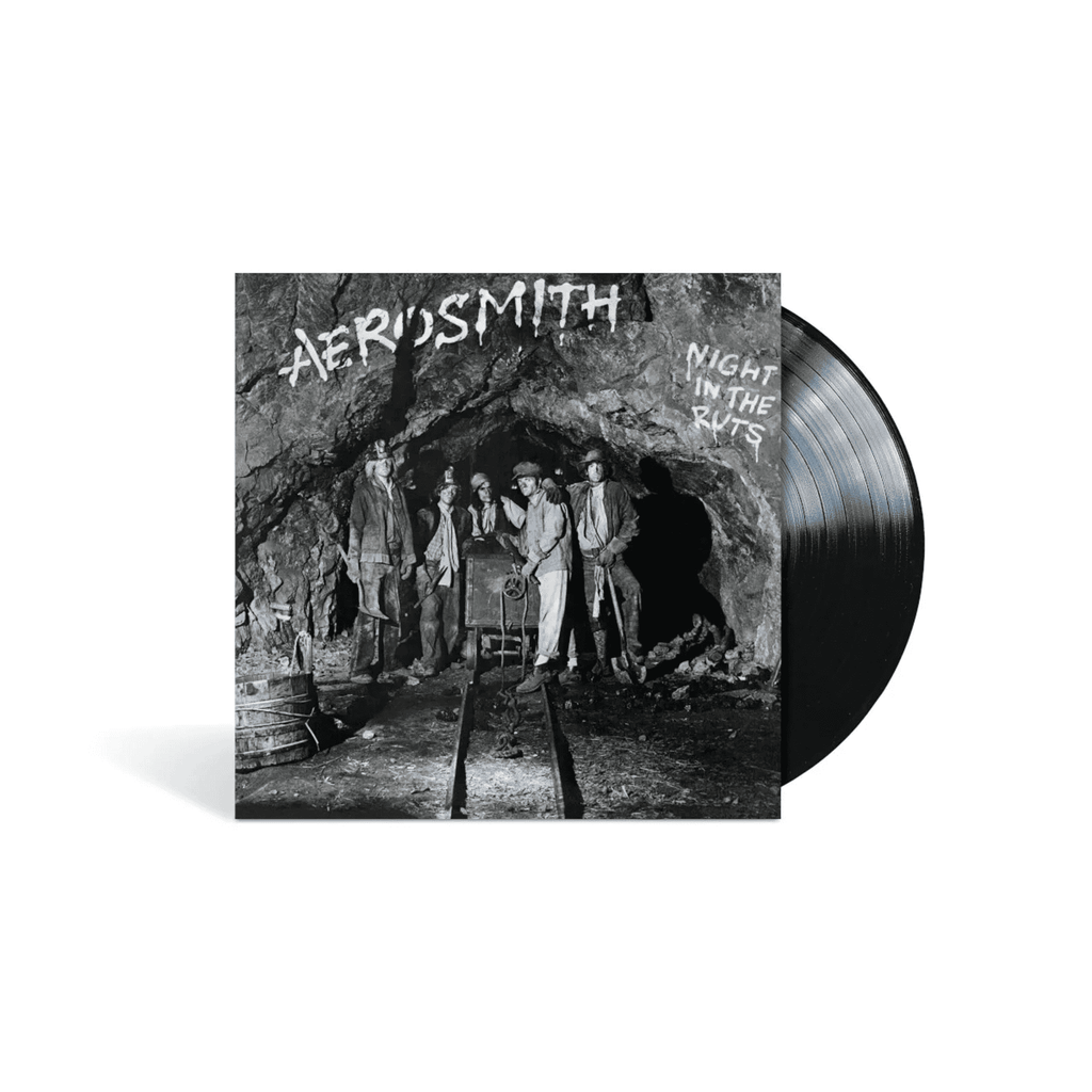 AEROSMITH - Night In The Ruts Vinyl