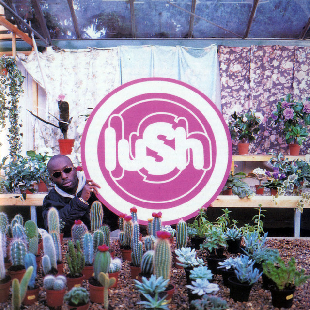 LUSH - Lovelife Vinyl