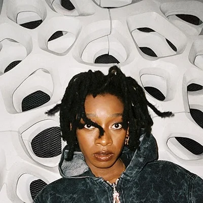 LITTLE SIMZ - No Thank You Vinyl