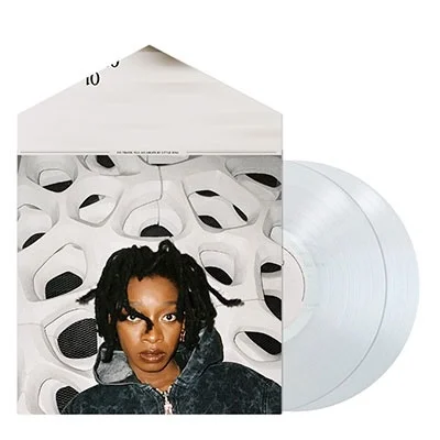 LITTLE SIMZ - No Thank You Vinyl
