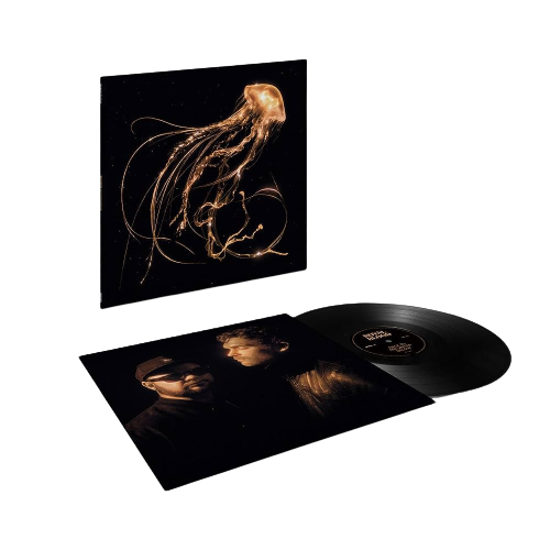 ROYAL BLOOD - Back To The Water Below Vinyl