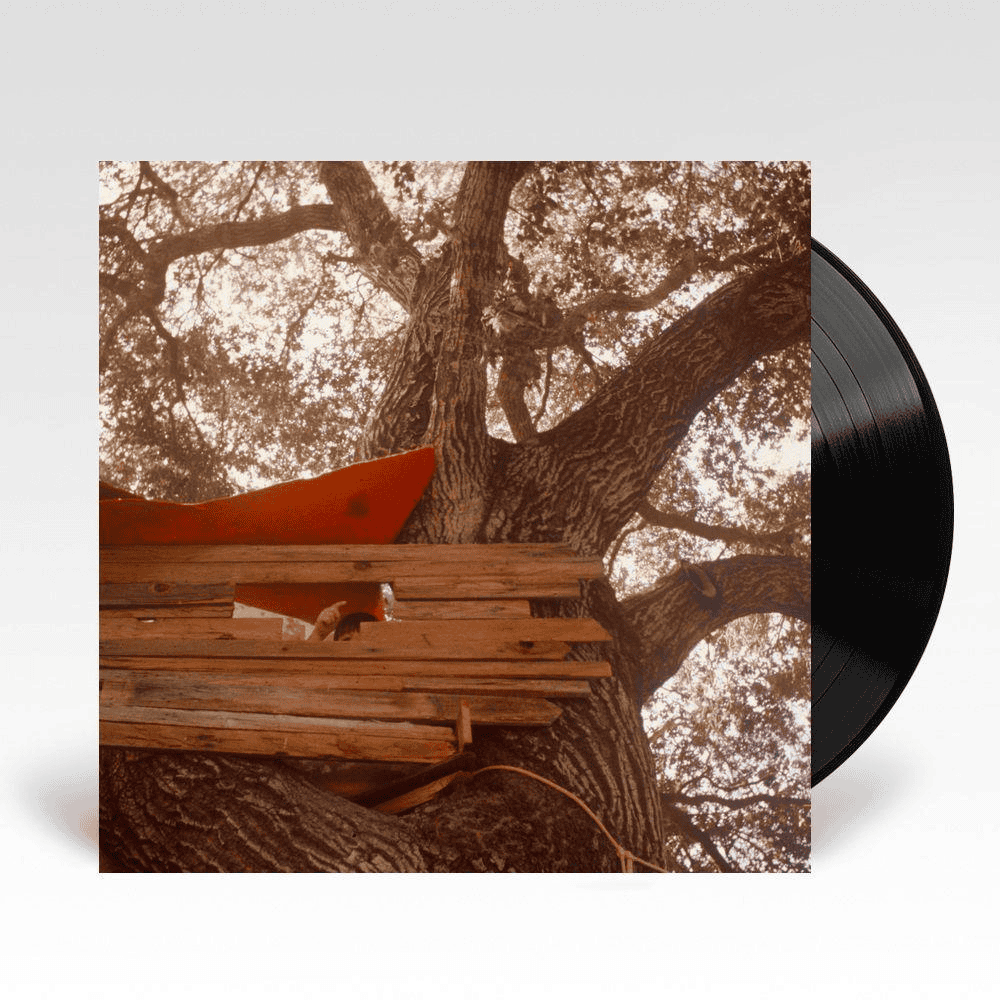 THE BACKSEAT LOVERS - Waiting To Spill Vinyl
