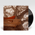 THE BACKSEAT LOVERS - Waiting To Spill Vinyl