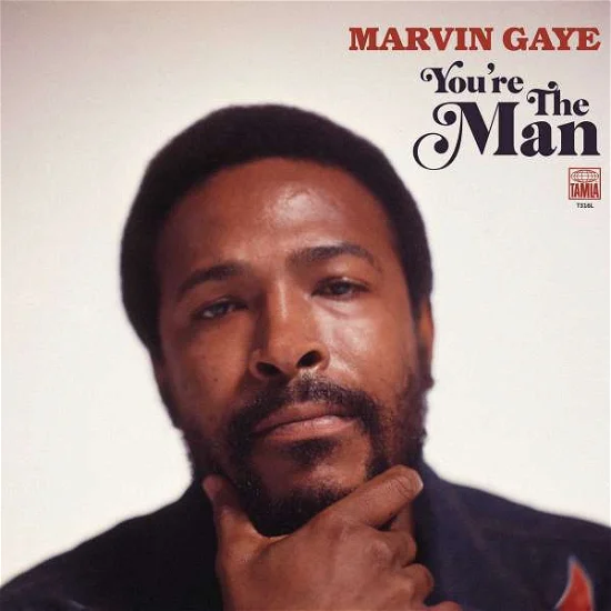 MARVIN GAYE - You're The Man Vinyl