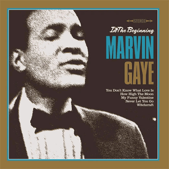 MARVIN GAYE - In The Beginning Vinyl