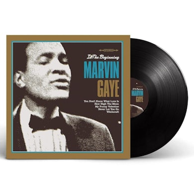 MARVIN GAYE - In The Beginning Vinyl
