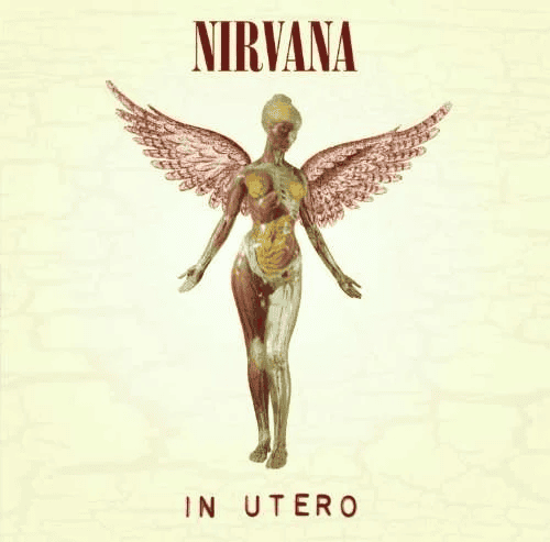 NIRVANA - In Utero 30th Anniversary Vinyl