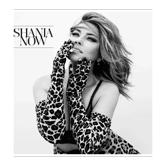 SHANIA TWAIN - Now Vinyl
