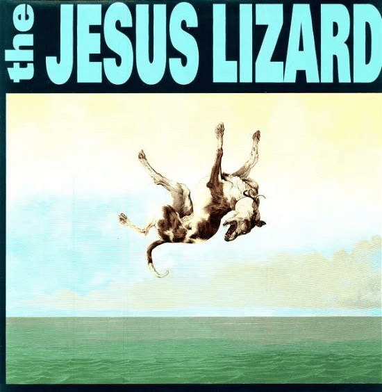 THE JESUS LIZARD - Down Vinyl