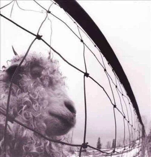 PEARL JAM - VS. 30th Anniversary Vinyl