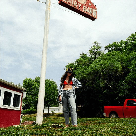 WAXAHATCHEE - Tigers Blood Vinyl