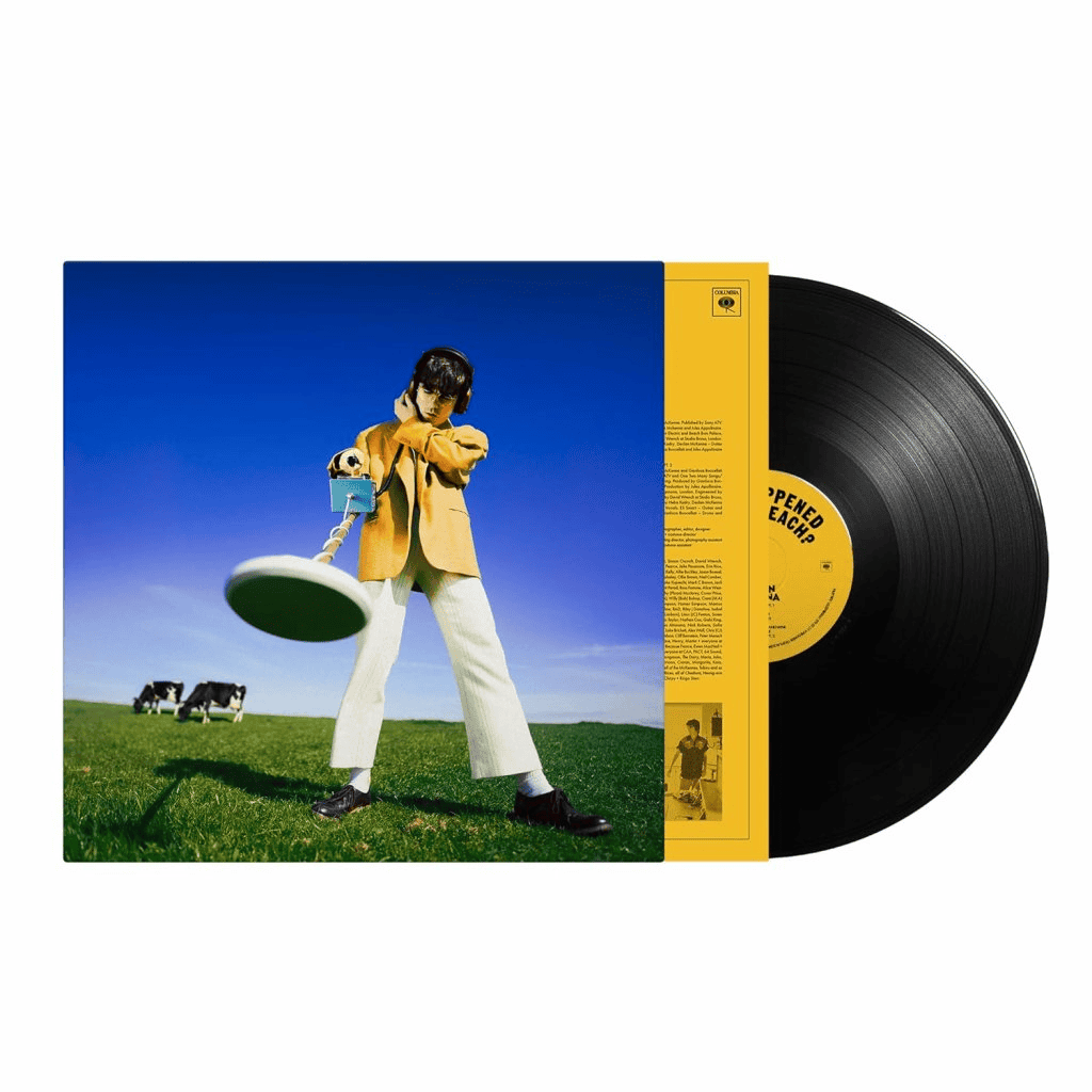 DECLAN MCKENNA - What Happened to the Beach? Vinyl