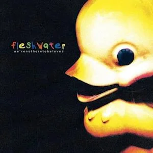 FLESHWATER - We're Not Here To Be Loved Vinyl