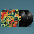 ADRIANNE LENKER - Songs and Instrumentals Vinyl