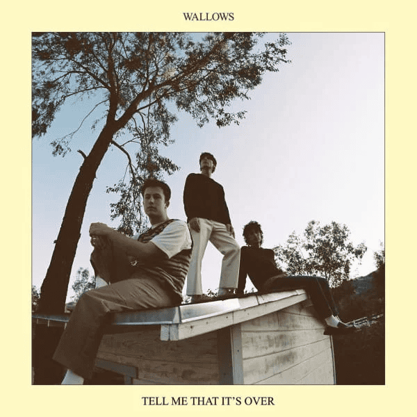 WALLOWS - Tell Me That It's Over Vinyl