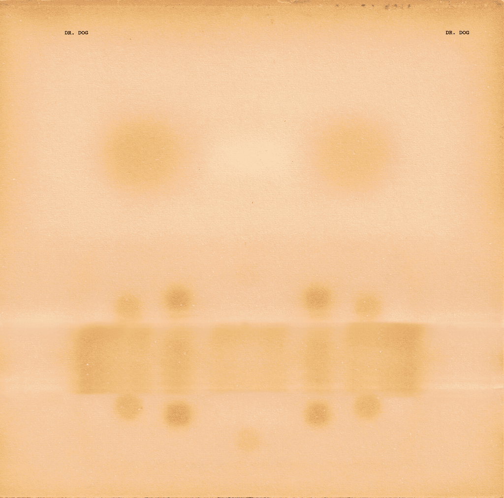 DR. DOG - Dr. Dog Vinyl