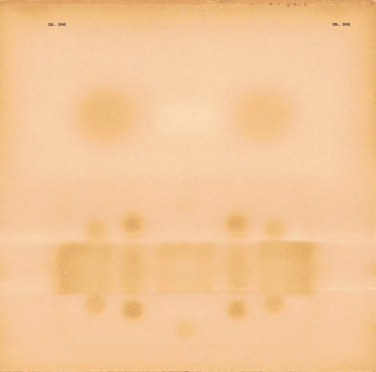 DR. DOG - Dr. Dog Vinyl