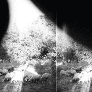 GODSPEED YOU! BLACK EMPEROR - Asunder, Sweet and Other Distress Vinyl