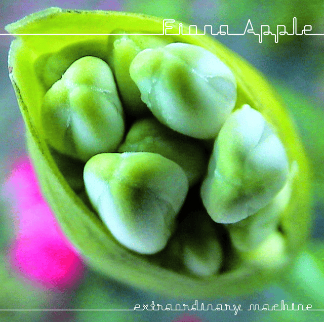 FIONA APPLE - Extraordinary Machine Vinyl