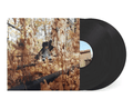 BILLY WOODS - Golliwog Vinyl