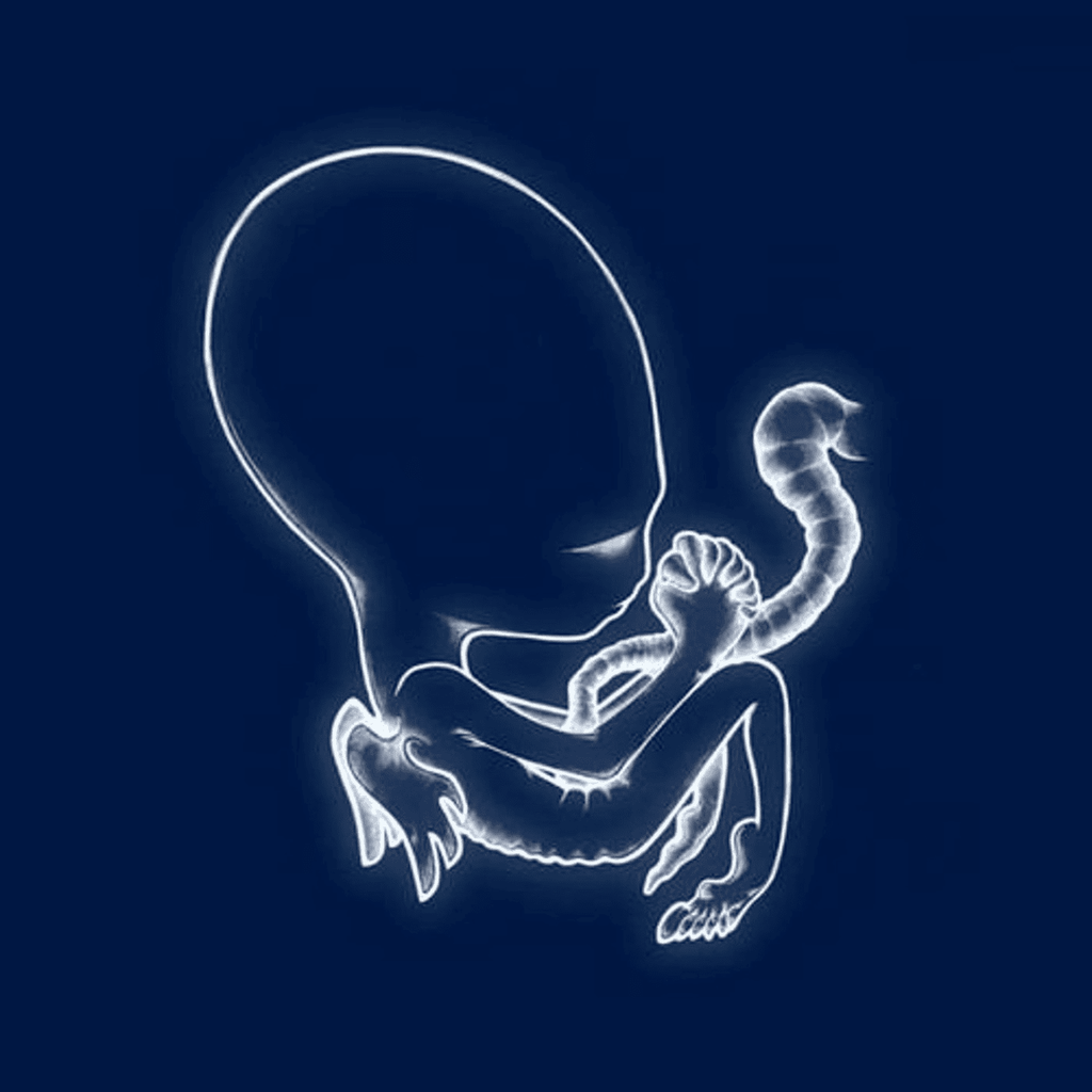 SIGUR ROS - Agaetis Byrjun Vinyl