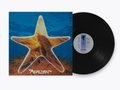 APHEX TWIN - Xylem Tube EP Vinyl