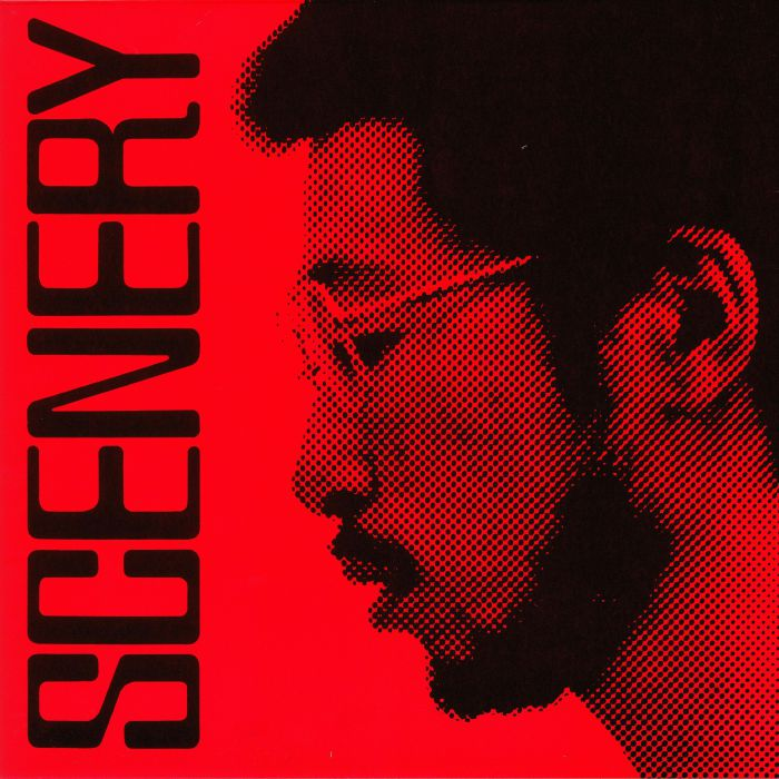 RYO FUKUI - Scenery Vinyl