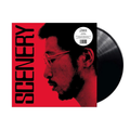 RYO FUKUI - Scenery Vinyl