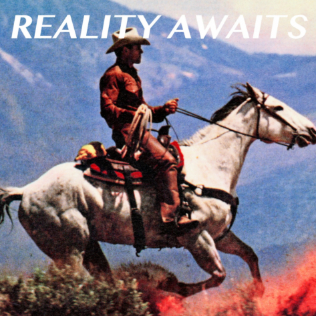 THE STROKES - Reality Awaits Vinyl